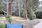5 Mount Field National Park, Tasmania Photo Gallery