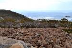 19 Mount Wellington Photo Gallery