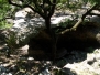 Natural Bridge Wildlife Ranch, Texas