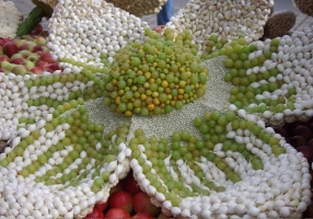 Netherland Fruitcorso Festival