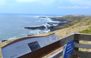 Phillip Island, Victoria