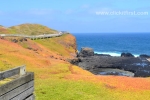 15 Phillip Island Photos
