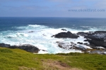 18 Phillip Island Photos