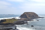 24 Phillip Island Photos