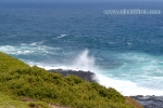 26 Phillip Island Photos