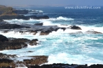 33 Phillip Island Photos