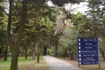 43 Phillip Island Photos