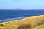 48 Phillip Island Photos