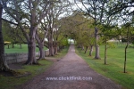 33 Port Arthur Historic Site
