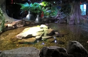 Sea Life Aquarium, Melbourne