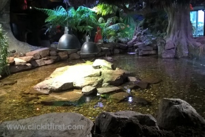 Sea Life Aquarium, Melbourne