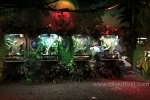 Sea Life Melbourne Aquarium 2