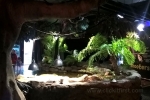 Sea Life Melbourne Aquarium 3