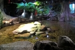 Sea Life Melbourne Aquarium 4