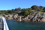 11- Victor Harbor Photo Gallery