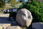 13- Victor Harbor Photo Gallery