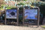 14- Victor Harbor Photo Gallery