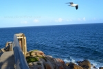 25- Victor Harbor Photo Gallery