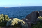 29- Victor Harbor Photo Gallery