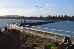 43- Victor Harbor Photo Gallery