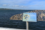 8- Victor Harbor Photo Gallery