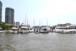 28  View of Brisbane City from the Ferry