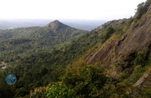 Wayanad