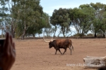 19  Werribee Zoo