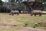 26  Werribee Zoo