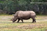 27  Werribee Zoo