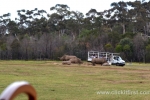 28  Werribee Zoo