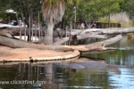 32  Werribee Zoo