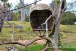 34  Werribee Zoo