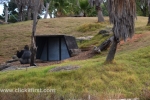 37  Werribee Zoo
