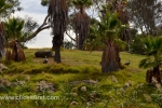 42  Werribee Zoo