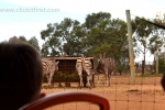 6  Werribee Zoo