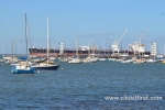 10 Williamstown