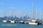 11 Williamstown