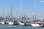 8 Williamstown